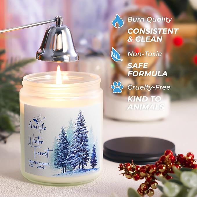 Winter Candle Set | 6 Pack Christmas Scented Candles for Home - Holiday Soy Candle Gift Set for Women Men, Home Decor, Aromatherapy Candles Scents of Hello Winter/Forest/Cider/Warm/Fireside/Bonfire