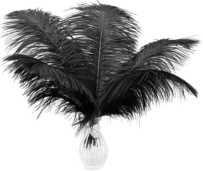 24pcs Natural Black Ostrich Feathers 10-12inch (25-30cm) for Wedding Party Centerpieces，Flower Arrangement and Home Decora...