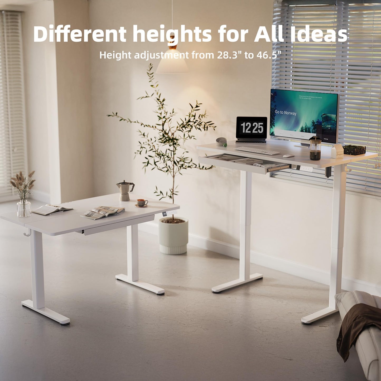 YDN Standing Desk with Drawers, 48 x 24 Inch White Standing Desks Electric Adjustable Height Desk for Computer Workstations, White