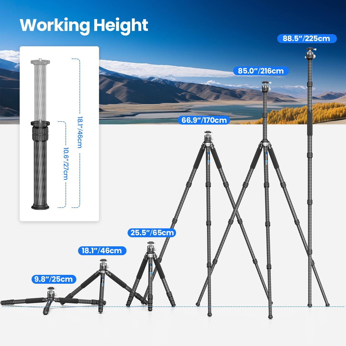 85'' Tripod Carbon Fiber, Heavy Duty Tripod for Camera, Professional Camera Tripods Monopod with 52mm Ballhead, External Center Column Compact, WEYLLAN GX9 Max Tube 40mm for Dslr Camera Telephoto Lens