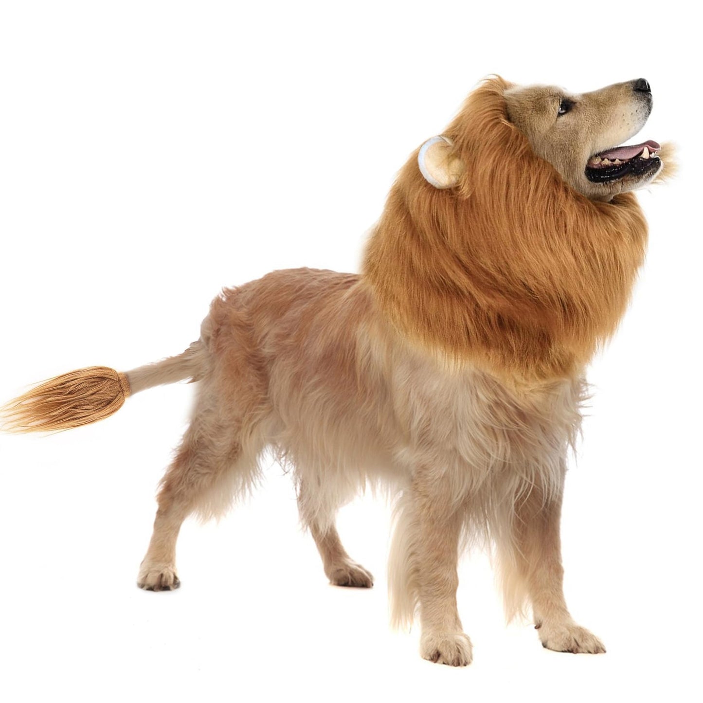 HOKABLE Lion Mane Dog Costume for Medium & Large Dogs - Realistic Lion Wig - Brown - Size M + Tail Set