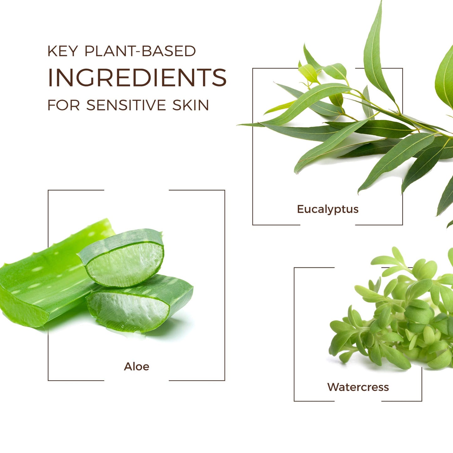 Babo Botanicals After Sun Soothing Hydrating Aloe Vera Gel With Natural witch Hazel and Cucumber, Vegan, For Babies, Kids or Sen