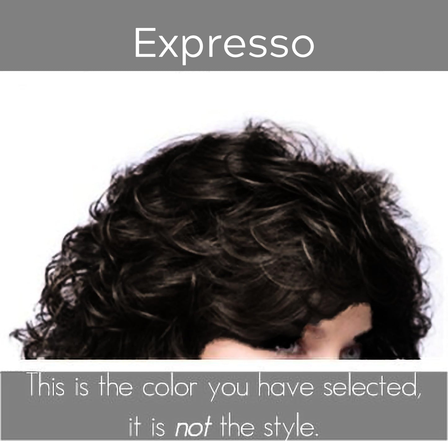 Noriko Sky Synthetic Wig by Rene of Paris and Wig Lift Comb - Expresso - Bundle 2 Items