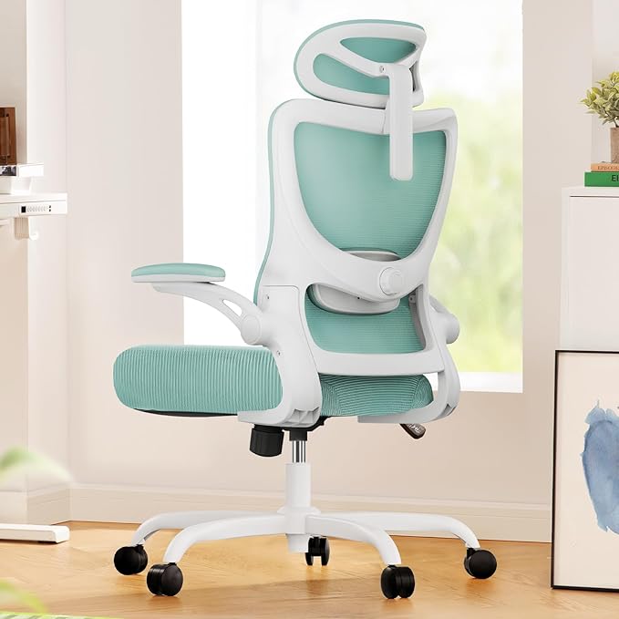 Marsail Ergonomic Office Chair: Office Desk Chair with High Back Mesh and Adjustable Lumbar Support Rolling Work Swivel Ta...