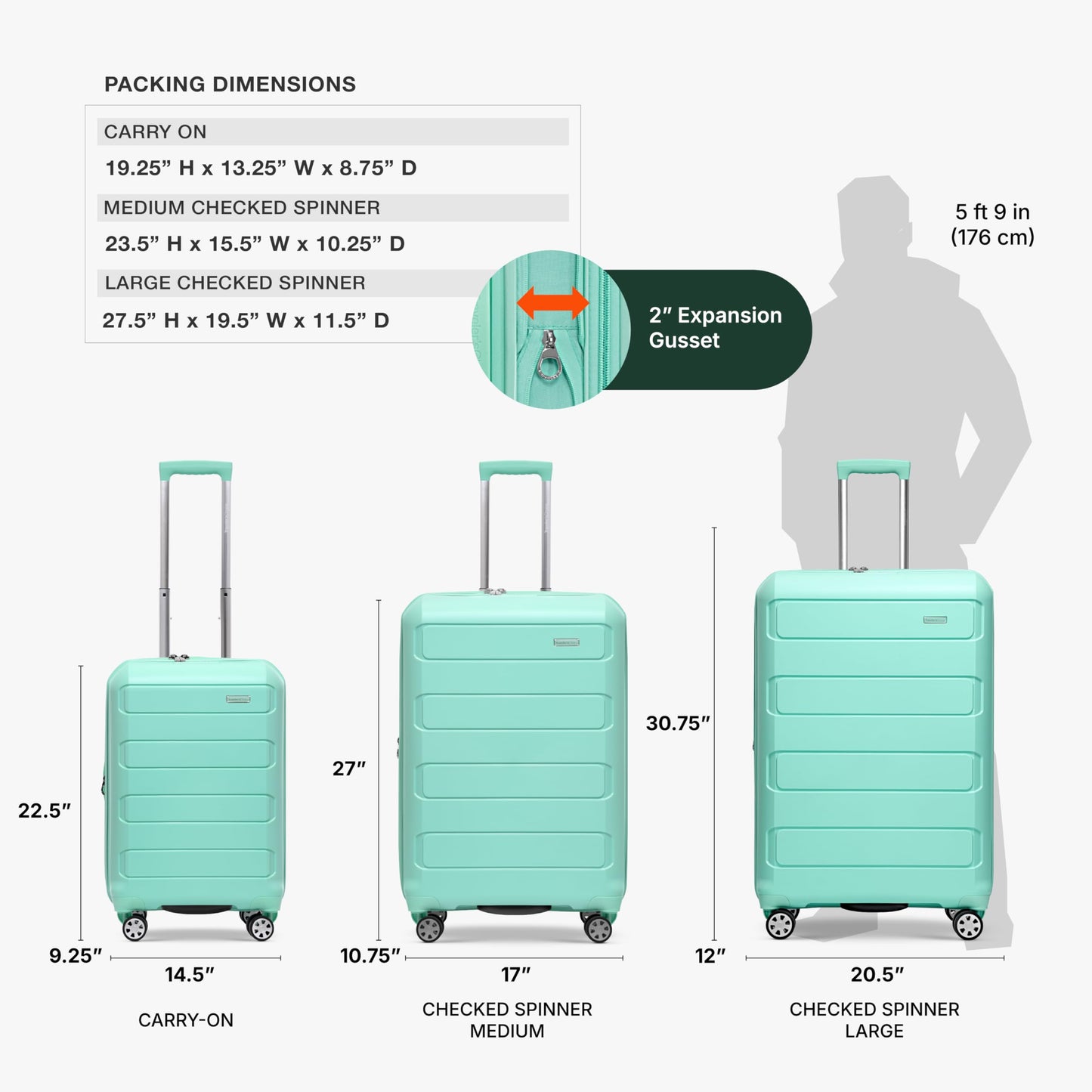 Traveler's Choice Pagosa Hardshell Expandable Luggage with Spinner Wheels, Mint, 22-Inch Carry-on