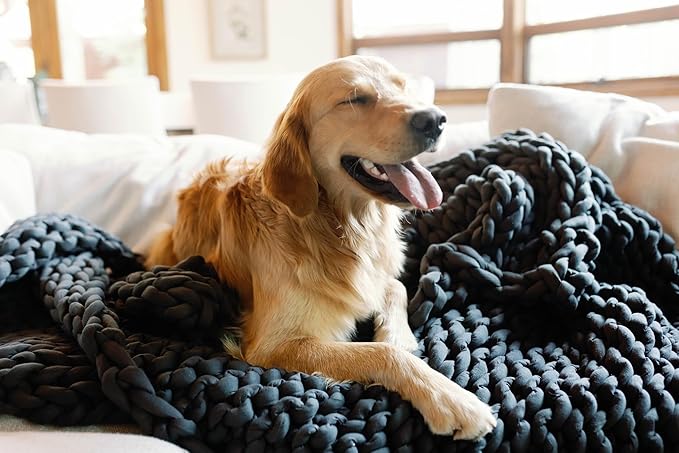 Nuzzie Chunky Knit Weighted Blanket - Breathable, Cooling, Hand Made Knit Throw Blanket for Sleep - Machine Washable, Stylish Decor Design (Forest Green, Queen | 22lbs | 60"x80")