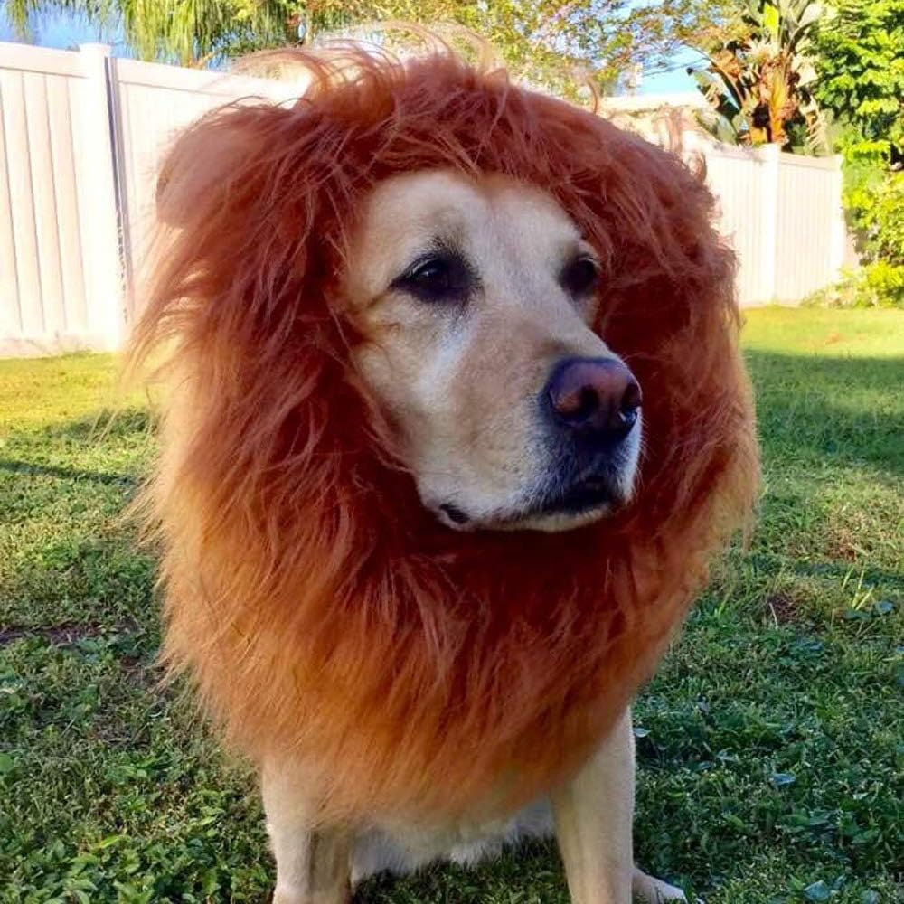 Dog Lion Costume,Dog Costumes for Medium Large Dogs,Dog Lion Mane, Dog Halloween Costumes, Lion Mane for Dog, Fits Neck Size 19"- 29"