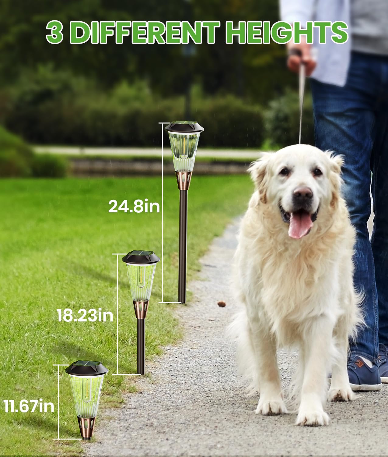 BITPOTT Bright Solar Pathway Lights Outdoor 8 Pack, 2-in-1 Warm&Cool Solar Lights Outdoor, Pathway Landscape Lighting Waterproof IP65, Auto On/Off Outdoor Light for Lawn Patio Walkway Garden Landscape