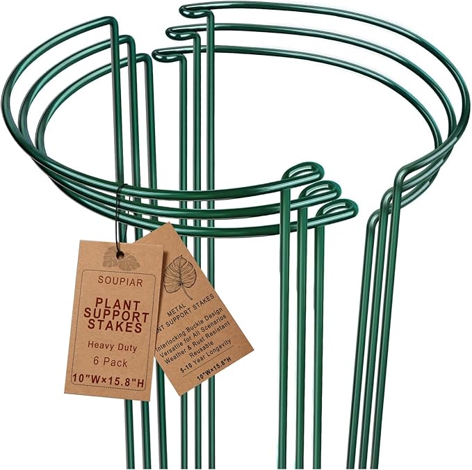 Soupiar 6 Pack Plant Support Stakes, Metal Monstera Plant Support Stakes for Indoor Plants, Large Garden Plant Support Ring, Tomato Cage, Tall Plant Holder Sticks (10" W X 15.8" H)
