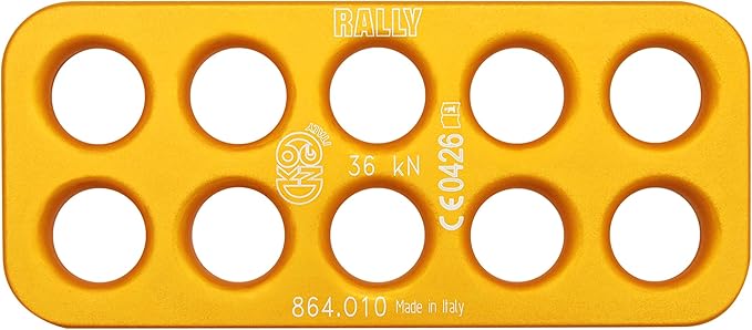 KONG Rally