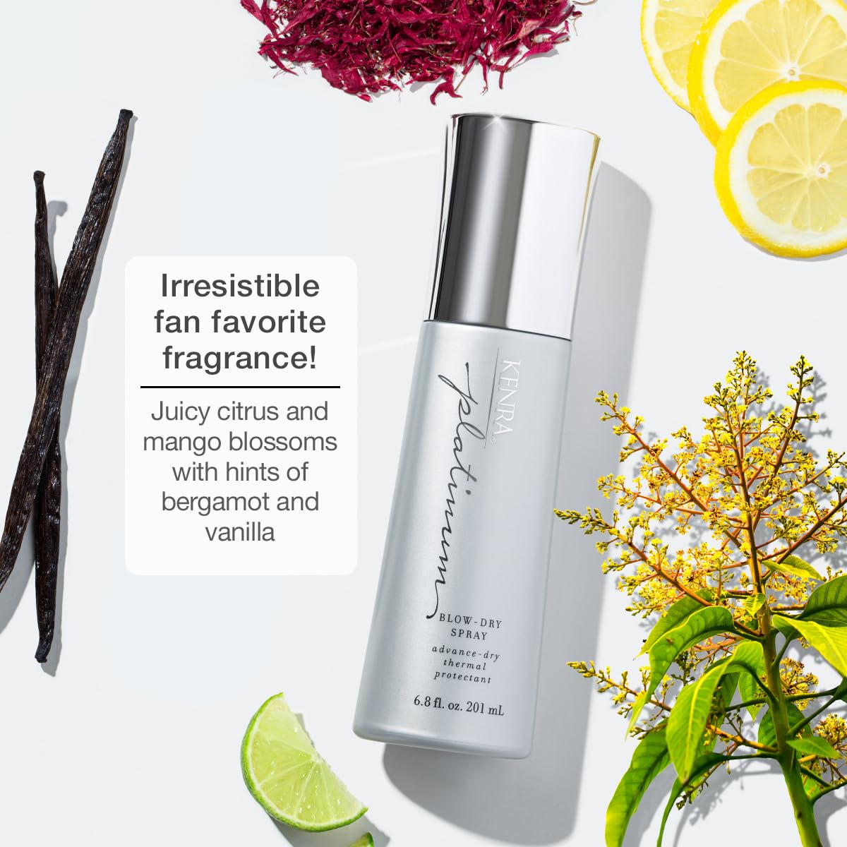 Kenra Platinum Blow-Dry Spray | Time-Saving Heat Protectant | Detangles, Smooths, and Softens | Eliminates Frizz & Resists Humid