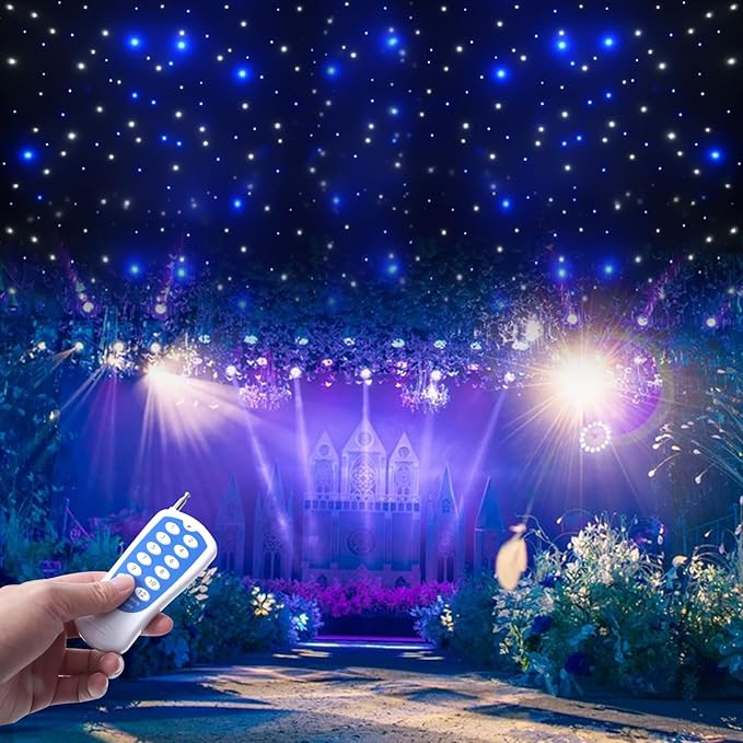 20x10FT LED Star Lights Curtain, Foldable Wedding Star Backdrop Drape Starry Sky Cloth Curtain w/DMX512 Control & Remote, ...