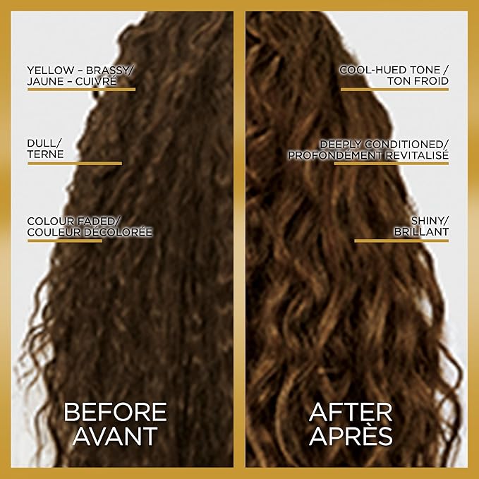 L'Oreal Paris Le Color One Step Toning Hair Gloss, Cool Brunette, 4 Ounce