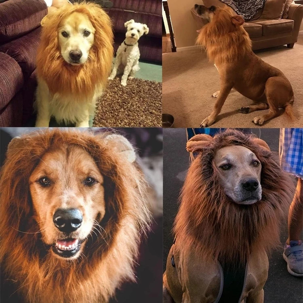 Lion Mane for Dog Costumes Realistic Funny Lion Wig for Medium Large Sized Dogs Halloween Pet Costume (Large, Light Brown)