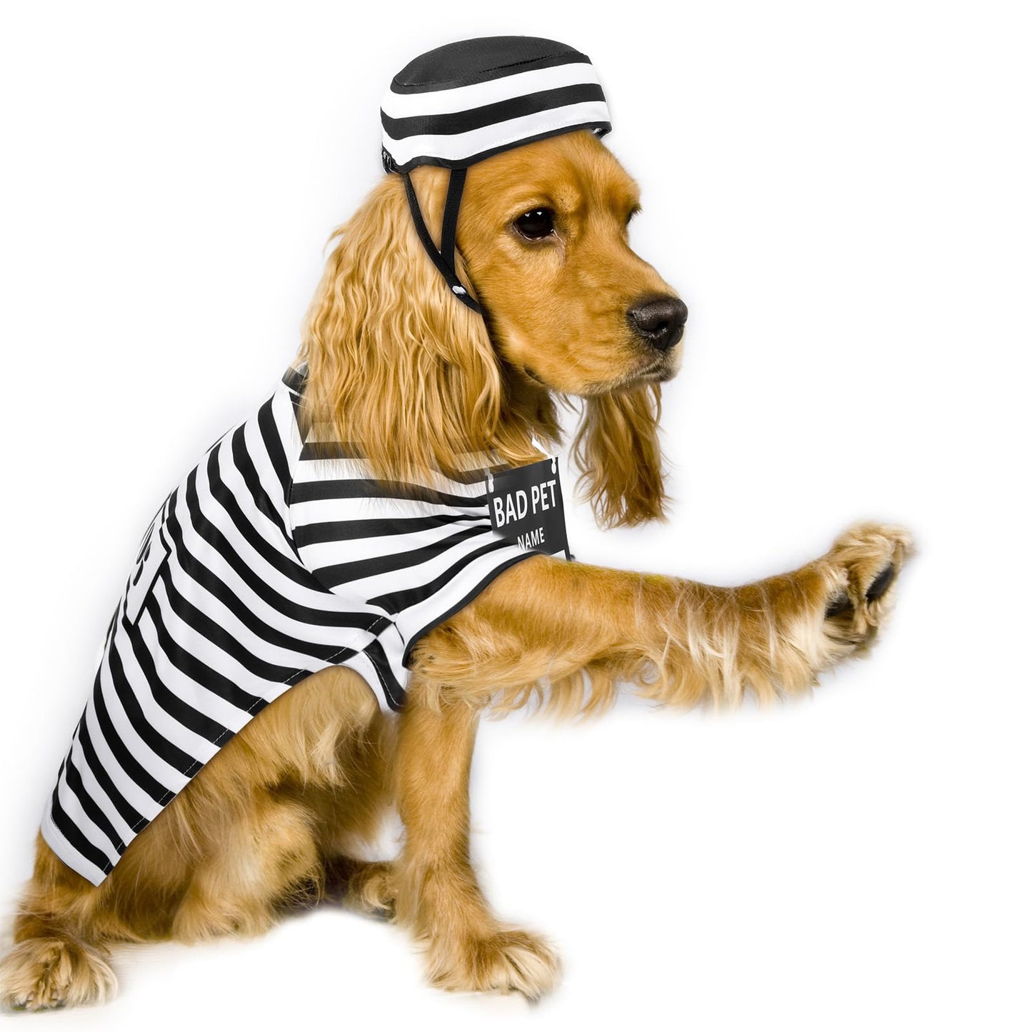 Shihanee Funny Dog Prisoner Costumes Halloween Prison Pooch Shirts Washable Dog Hat and Card for Halloween Puppy Pet(X-Large)