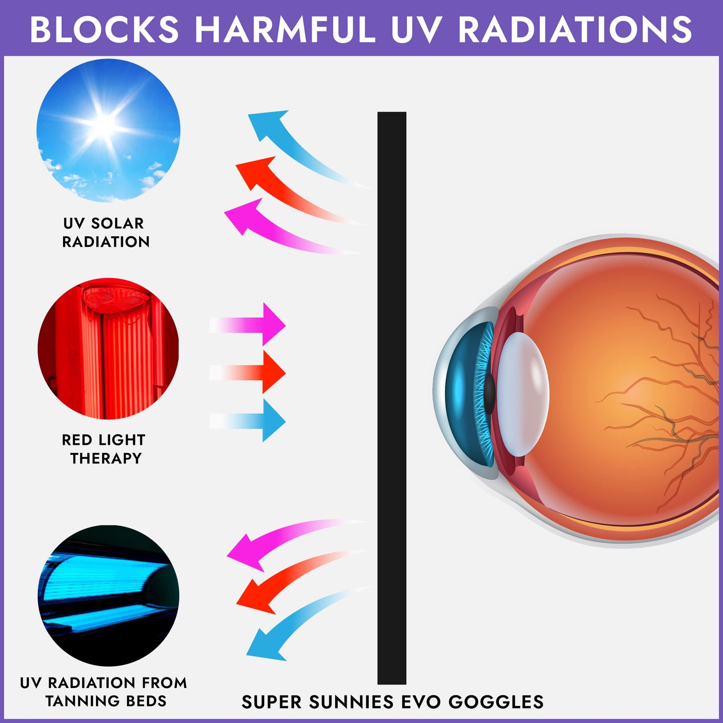 Super Sunnies EVO Flex UV Eye Protection, FDA Compliant, Tanning Bed Goggles, Red Light Theraphy Eyeshields with Case - Purple