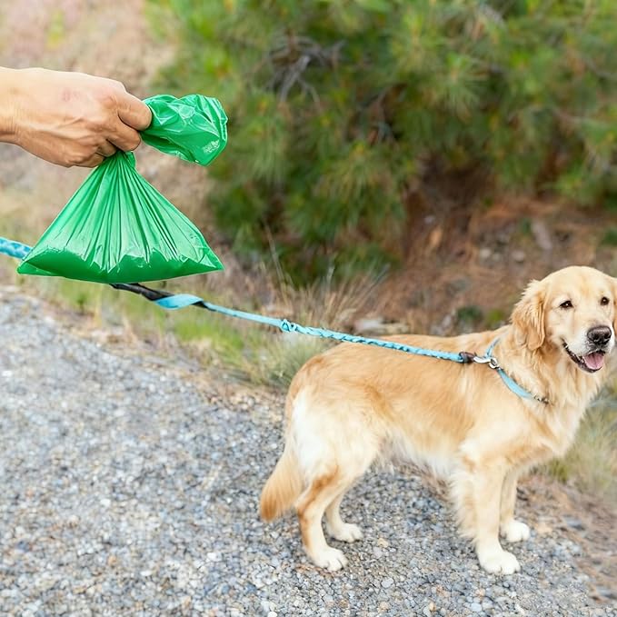 Odor-Sealing Dog Poop Bags 100 Count, Extra Strong Odor Control, Mutil-Layer Unscented Pet Waste Bags with Leak-Proof Design, Ideal for Dog Walks & Backyard Cleanup (Size:XL, Color:Green)