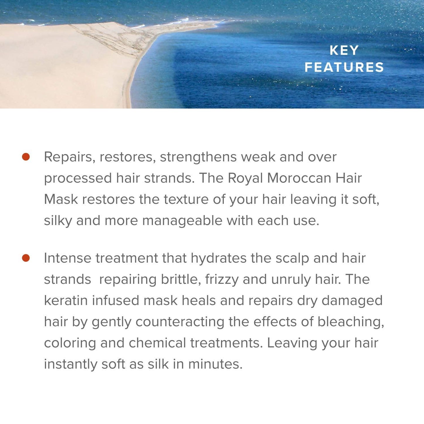 Royal Moroccan Hair Mask Treatment for Dry Hair - Moisturizing, Repairs, Restores Strength 250 ml / 8.45 fl.oz, Argan Oil for Co
