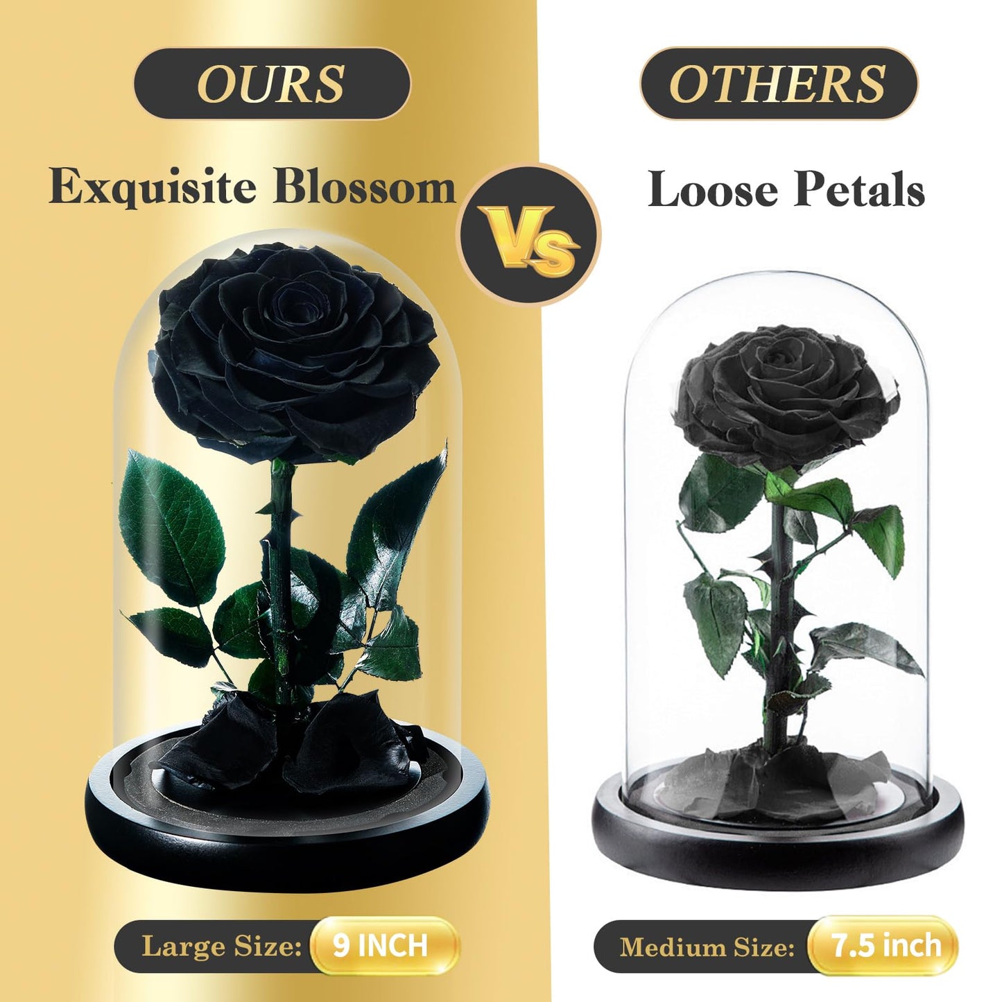 BLOSSBLISS Forever Preserved Flower Real Black Rose in Glass Dome, Flower Gift for Men Him Her Wife Husband Mother, Eternal Flowers for Christmas,Valentine's Day, Thanksgiving Day, Birthday,9 Inch