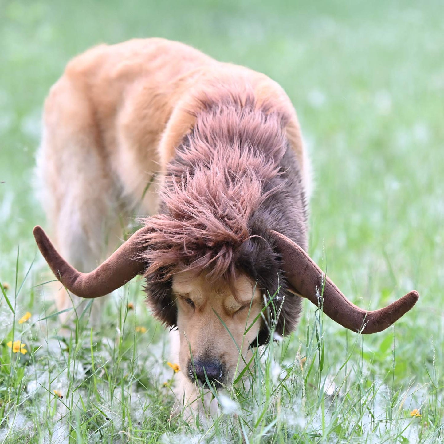 Funny Pet Moose Costumes for Dog, Cute Furry Pet Wig for Halloween Christmas, Pet Clothing Accessories (Bull, Size L)