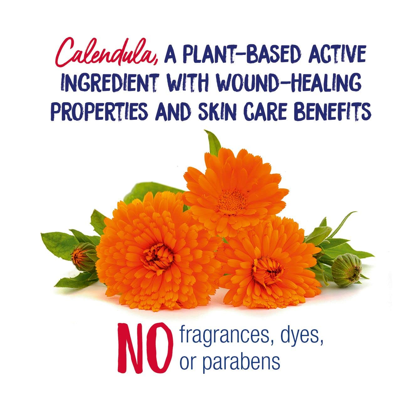 Boiron Calendula Cream for Relief from Rashes, Skin Irritations, Razor Burn, Insect Bites, or Sunburns - Non-Greasy and Fragrance-Free - 5 oz (2 Pack of 2.5 oz)
