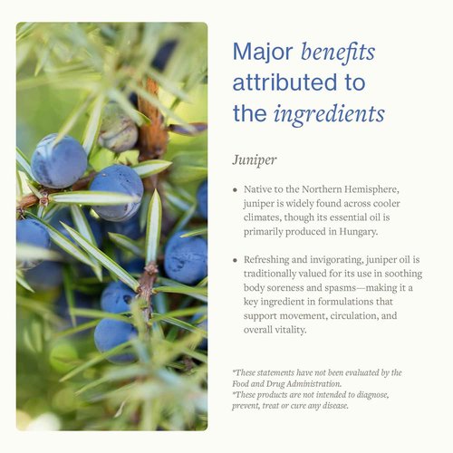 Juniper Massage Cream, 96g. Soothes Muscle & Joint Pain. Pre-Workout & Post-Work Out Body Cream. Herbal Body Cream for Elderly People by Swiss Just.