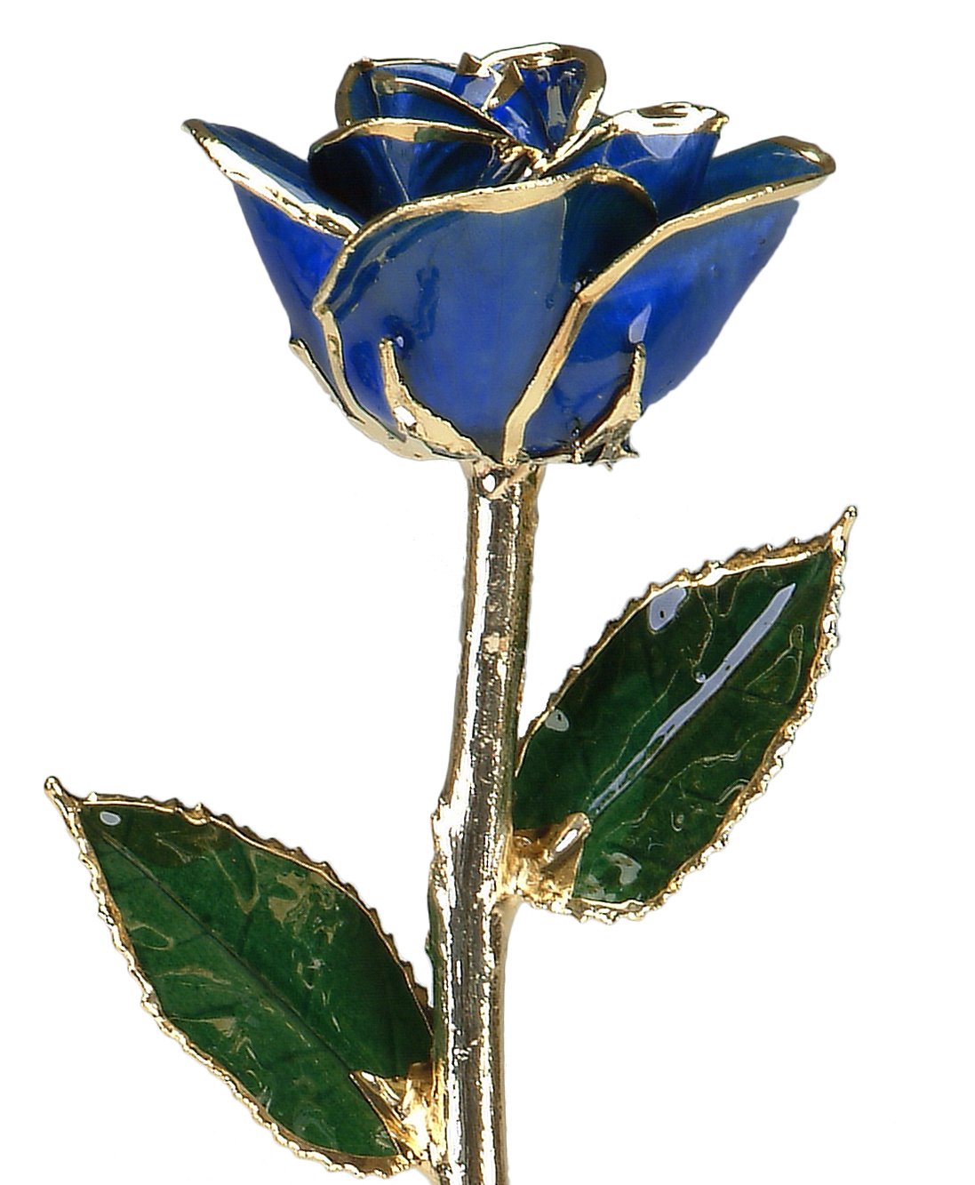 Allmygold Sapphire Blue 11" 24k Gold Dipped Real Rose