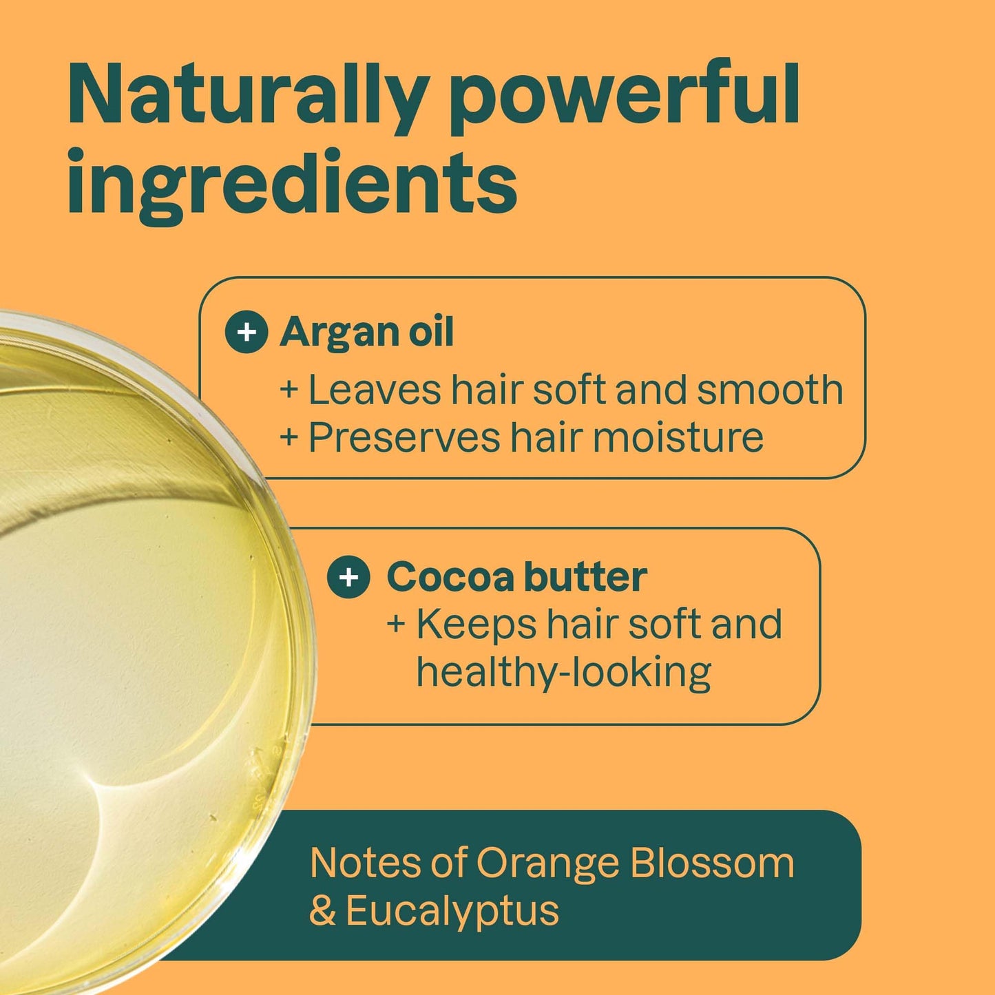 ATTITUDE Volume & Shine Conditioner Bar, Natural Origin, for Thin and Flat Hair, Argan Oil & Cocoa Butter, Clean Ingredients, Ve