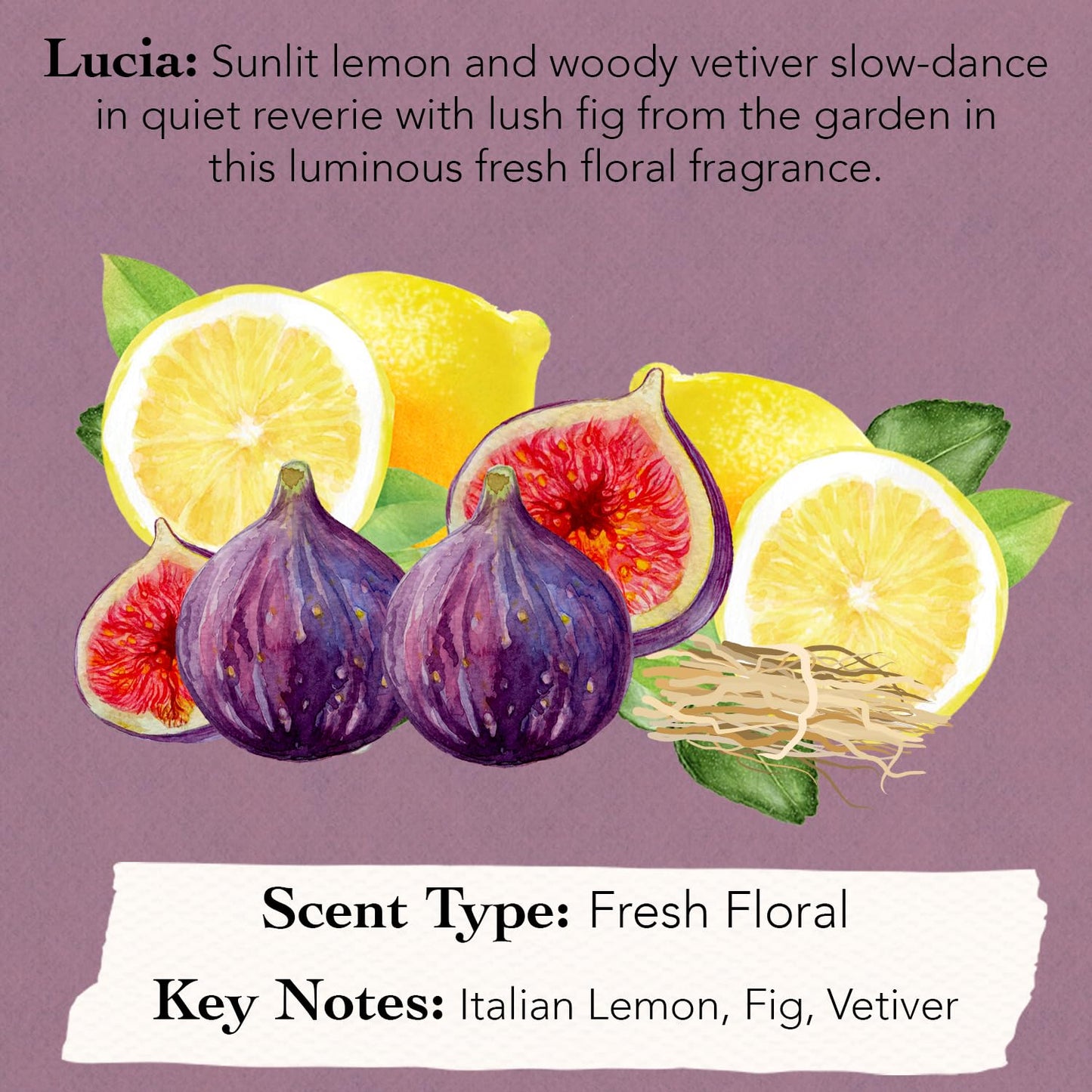 Tocca Mini Perfume Set of 6 ($90 Value) - 5ml (0.16 Fl Oz) Each, Spring Garden Collection - Includes Florence, Stella, Simone, Giulietta, Cleopatra & Lucia, Dabbers Fragrance Gift Set for Women