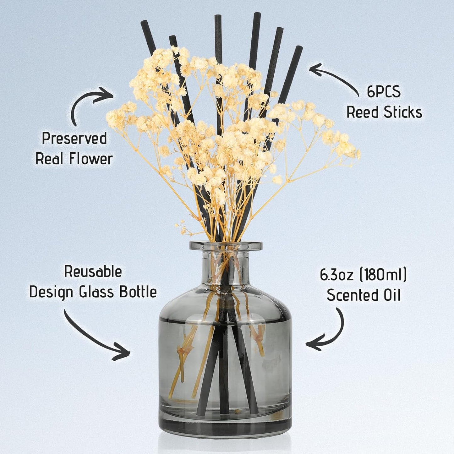 Brakula Reed Diffuser Set, 6.09 fl oz (180 ml)- Eucalyptus & Wild Mint with 8 Reed Sticks, Home Fragrance Reed Diffuser for Bathroom Shelf Decor