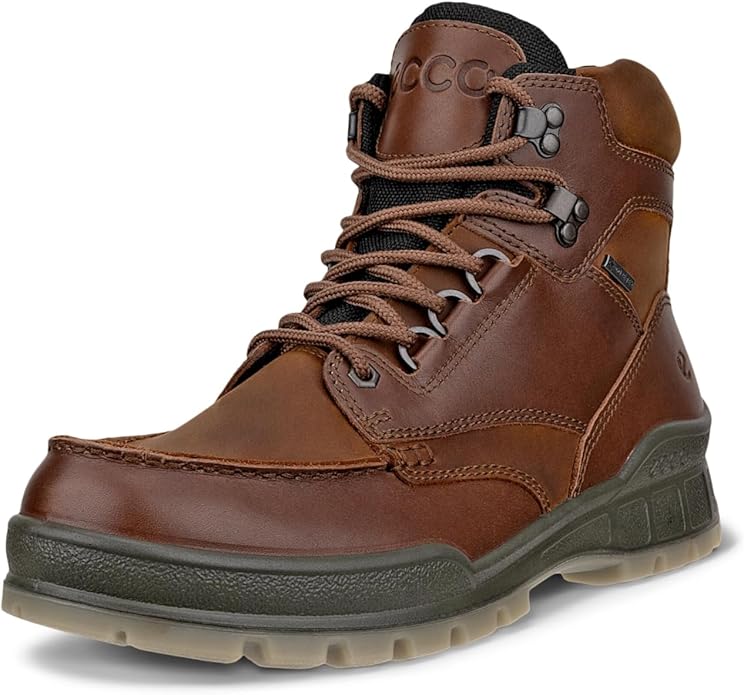 ECCO mens Track 25 High Gore-tex Waterproof Hiking Boot