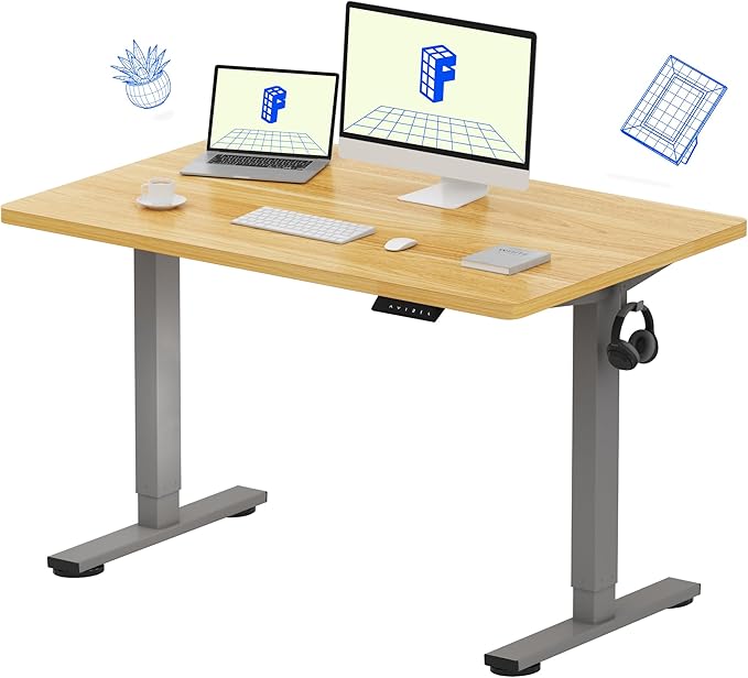 FLEXISPOT EN1 One-Piece Height Adjustable 48 x 24 inch Electric Standing Desk, Stand Up Desk for Home Office (Silver Frame + 48" Natural Top, 2 Packages)