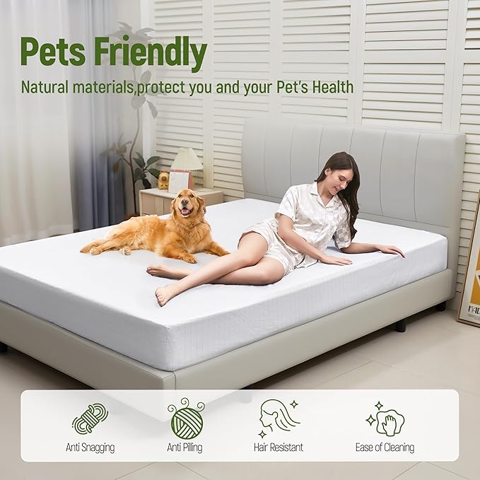 Grounding Sheets Queen Deep Pocket 10% Silver Fiber and 90% Organic Cotton, Fitted Earth Grounded Bed Sheets Bed Grounding Kit for Improved Sleep (White, Queen - 60"x80"x16")