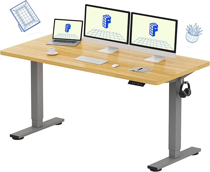 FLEXISPOT EN1 One-Piece Adjustable Stand Up Workstation 60 x 24 Inches Electric Standing Desk (Silver Frame + 60 Inches Natural Top, 2 Packages)