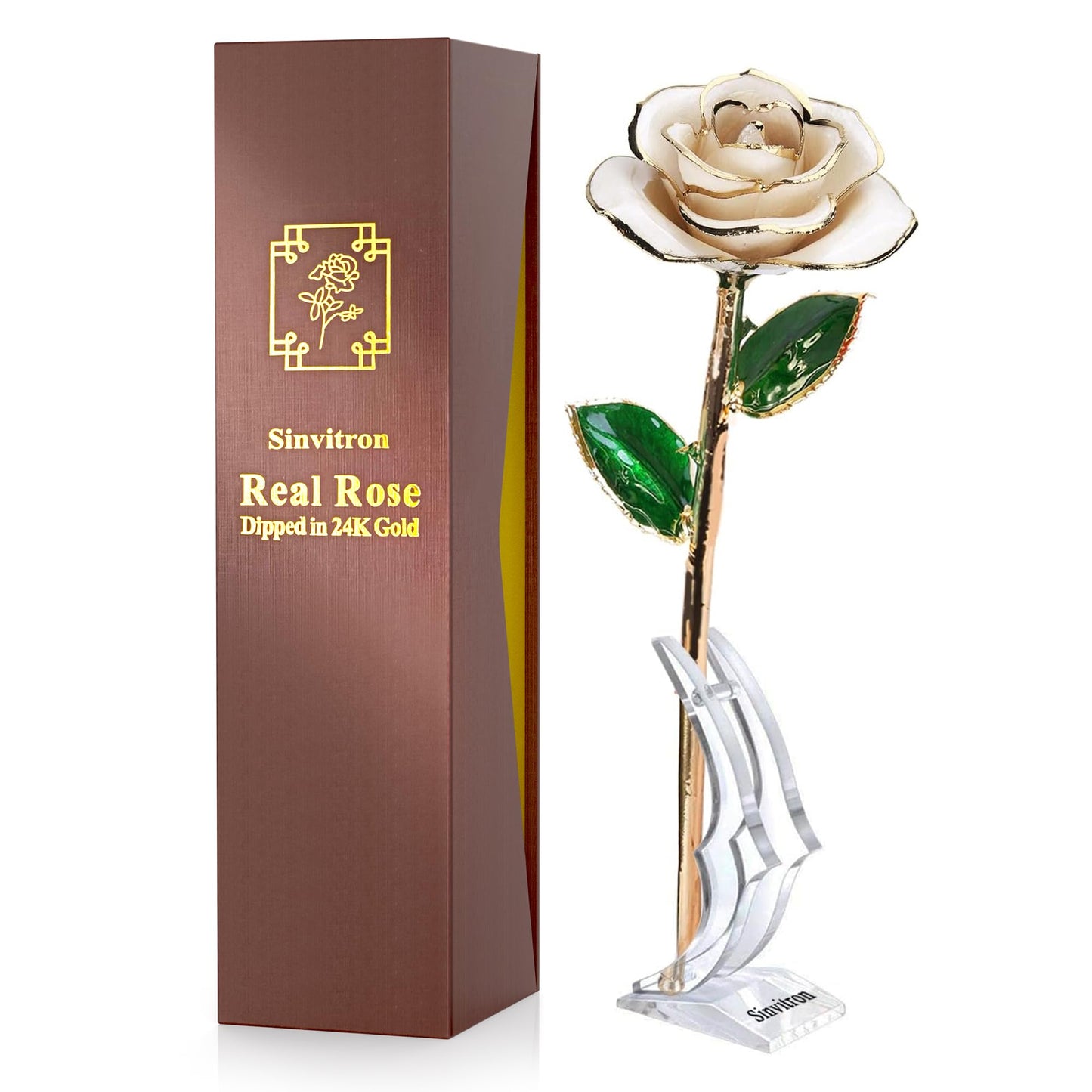 Sinvitron Gold Dipped Infinity Rose Forever Flower Decor, Resin Preserved Real Rose Birthday Gift for Women, Anniversary Present for Mom (Ivory White)