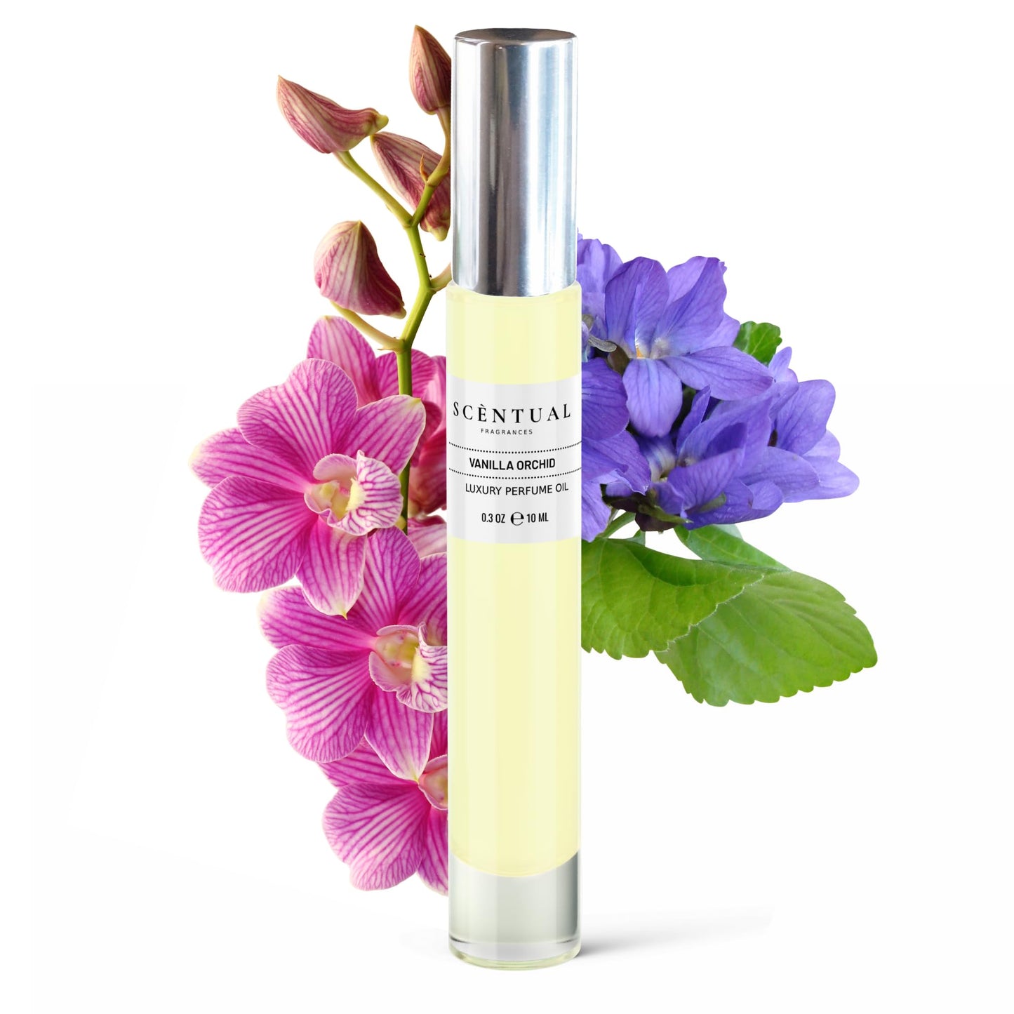 Scentual Fragrances, Luxury Perfume Oil, Ultra-Concentrated Women Roll-On Fragrance Oil, Long Lasting Rollerball Travel Mini Perfume, Vegan, Alcohol & Cruelty Free 10ml (Vanilla Orchid)