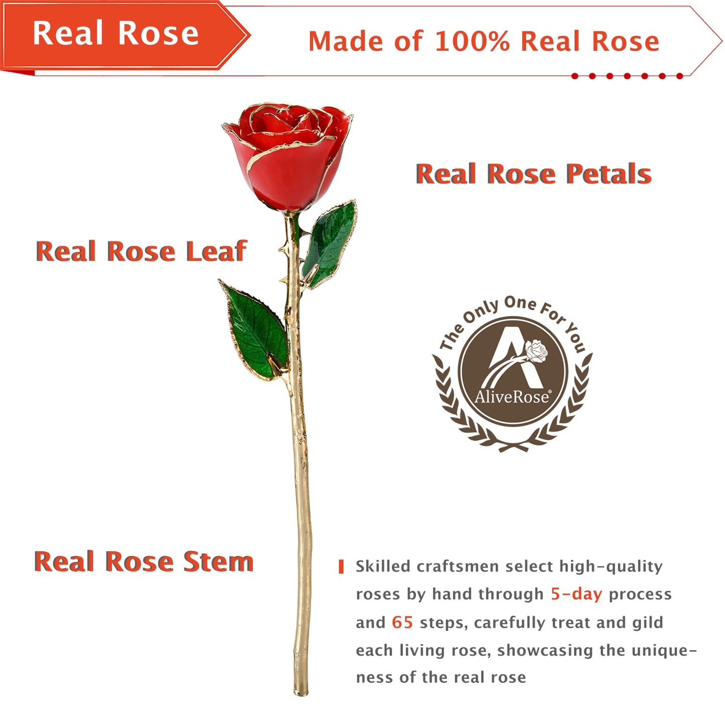 AliveRose Valentines Day Gift for Her Roses, Unique Design Gold Dipped Rose for Anniversary Valentines Mothers Day Birthday Gifts (Red Handmade with Crystal Vase)