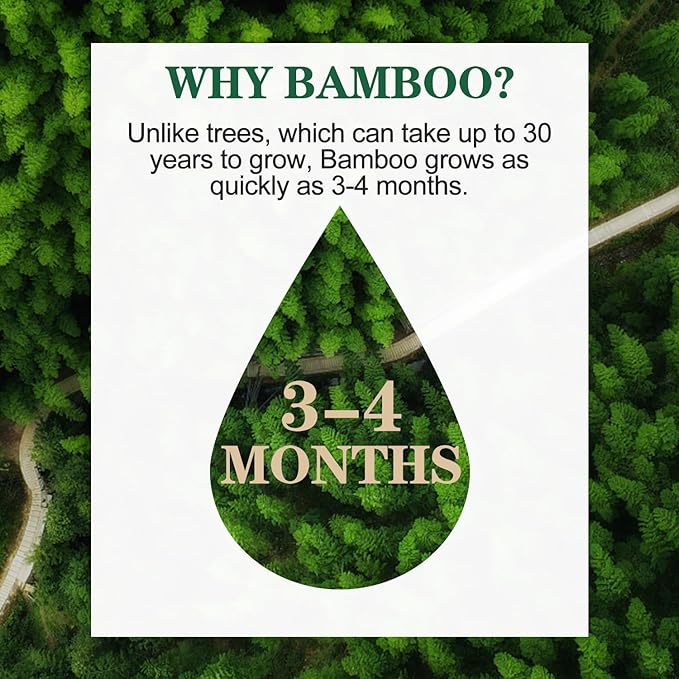 Bamboo Toilet Paper, 4-Ply, 18 Rolls, 200 Sheets Per Roll, Total 3600 Sheets, Unbleached, Sustainable and Tree Free, Soft, Strong, Earth-Friendly
