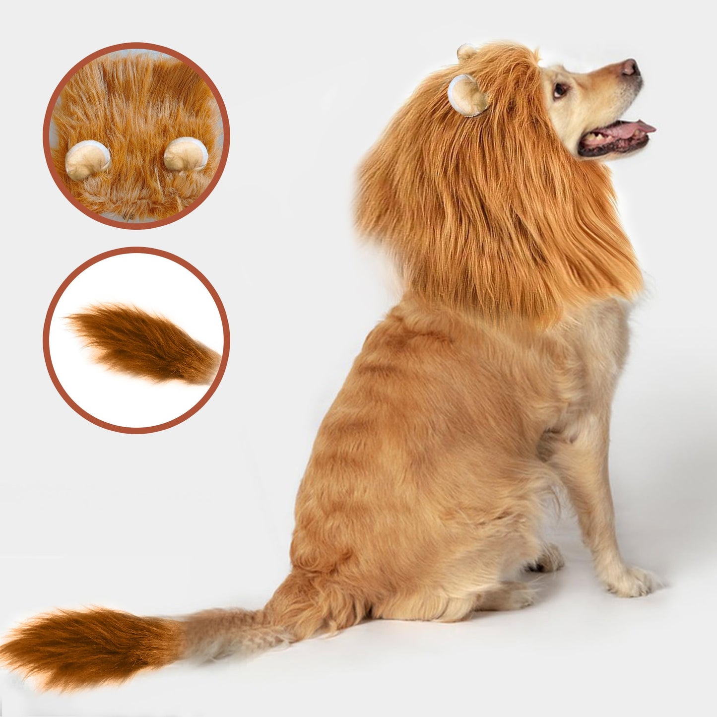 HOKABLE Lion Mane Dog Costume for Medium & Large Dogs - Realistic Lion Wig - Brown - Size M + Tail Set