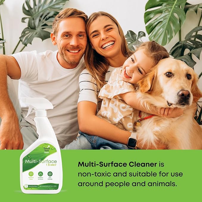 Good Salt Home Multi-Surface Cleaner, Everyday Surface Spray for Home and Workspaces, Continuous Cleaning Action, Made in the USA, 32 Ounce Bottle, 2-Pack