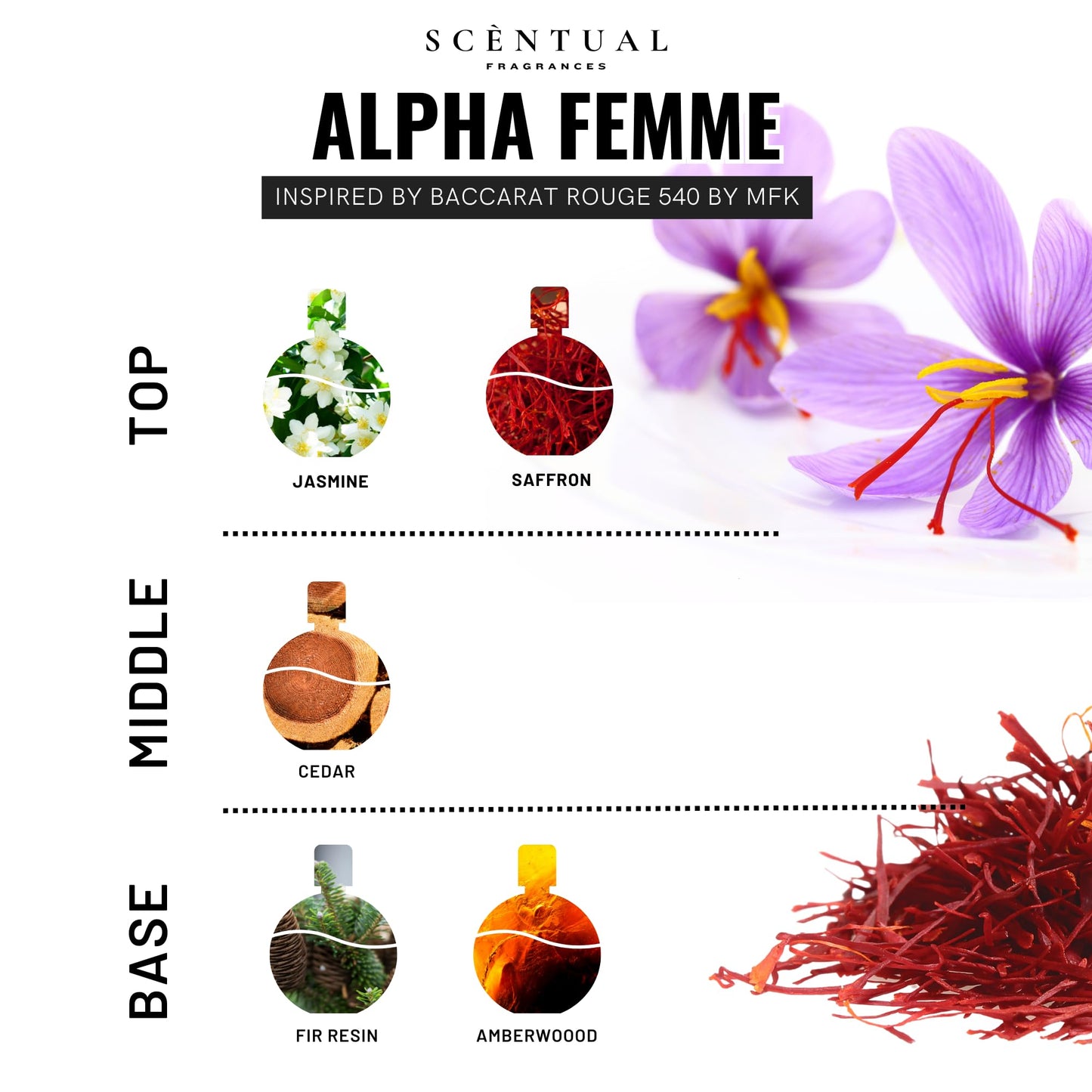 Scentual Fragrances, Luxury Perfume Oil, Ultra-Concentrated Women Roll-On Fragrance Oil, Long Lasting Rollerball Travel Mini Perfume, Vegan, Alcohol & Cruelty Free 10ml (Alpha Femme)