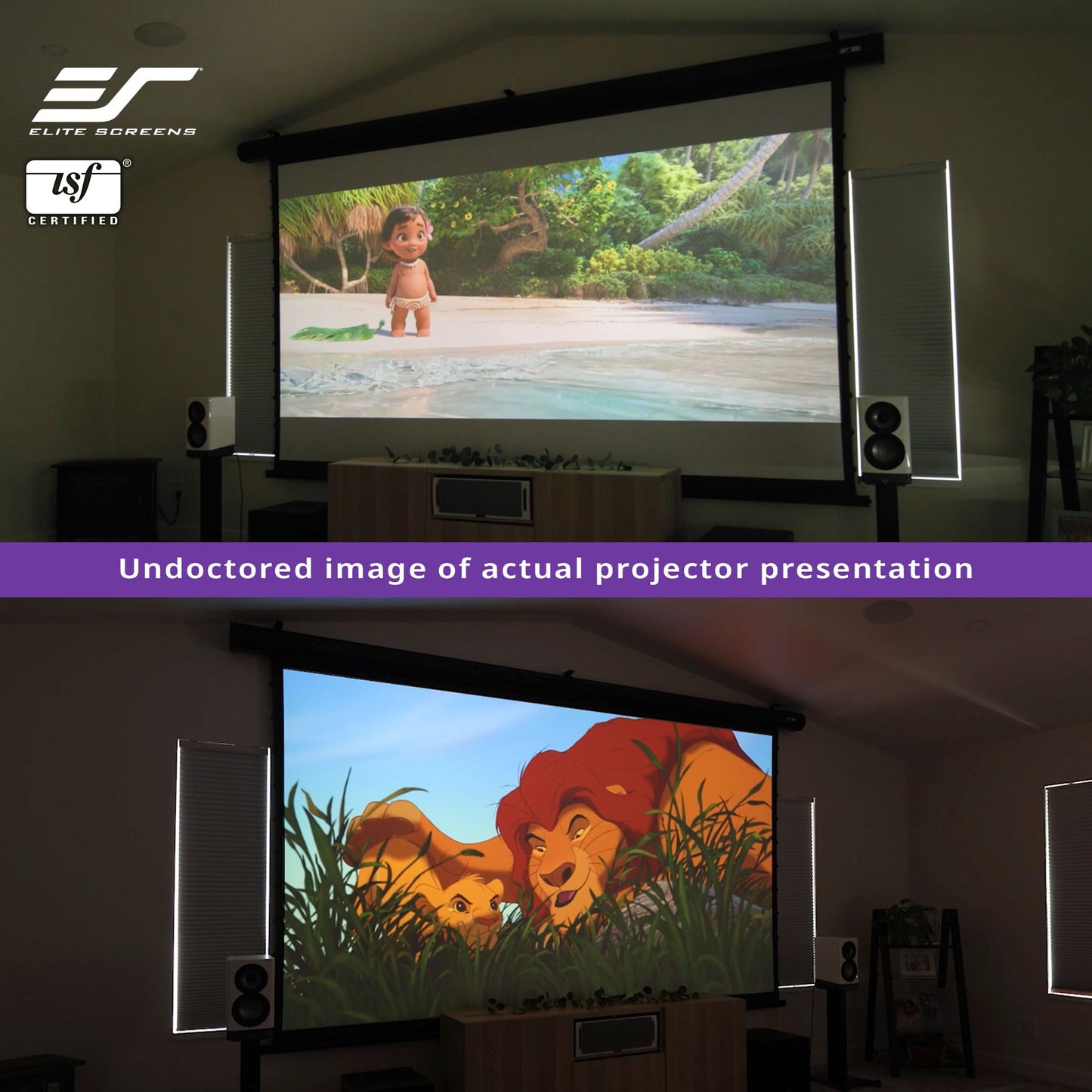 Elite Screens CineTension 3 Projector Screen, 120-inch 16:9, Indoor Electric Motorized ISF Material Tab Tension Home Theater Automatic Front Projection Movie Office Presentations, TE120HW3, Black