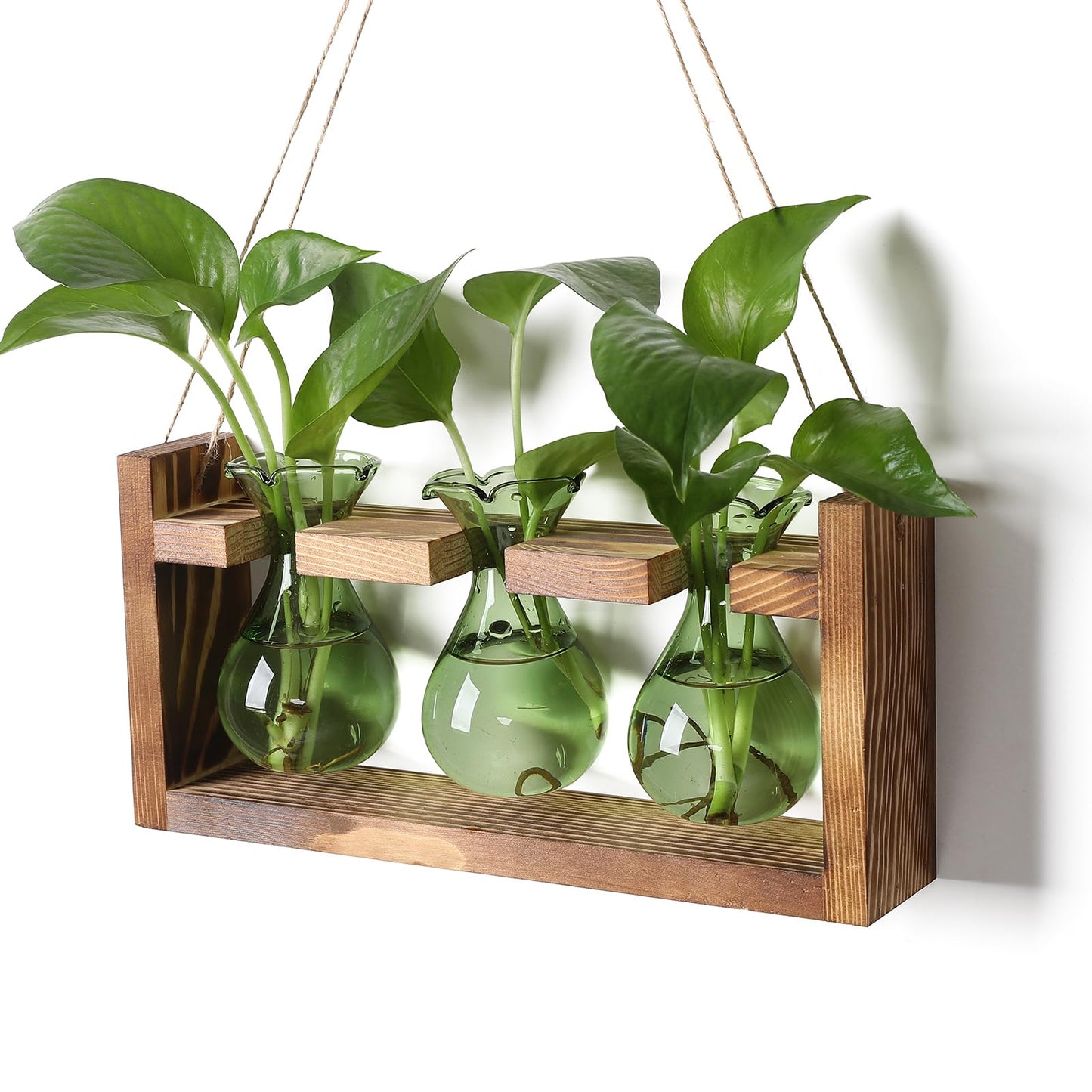 Plant Propagation Station Plant Terrarium Unique Birthday Gifts for Women Plant Lovers Home Office Decor Planter with Wooden Stand - 3 Bulb Glass Vase