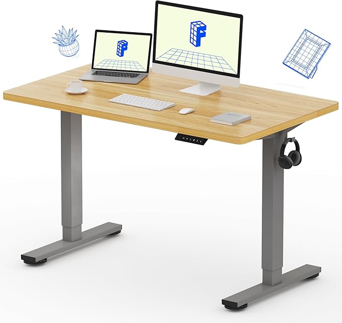 FLEXISPOT EN1 One-Piece Height Adjustable 48 x 24 inch Electric Standing Desk, Stand Up Desk for Home Office (Silver Frame + 48" Natural Top, 2 Packages)
