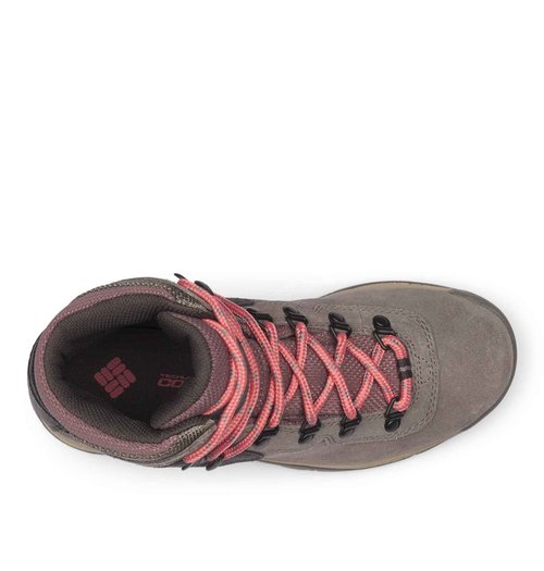 Columbia Womens Newton Ridge Plus Waterproof Amped, Stratus/Canyon Rose, 12
