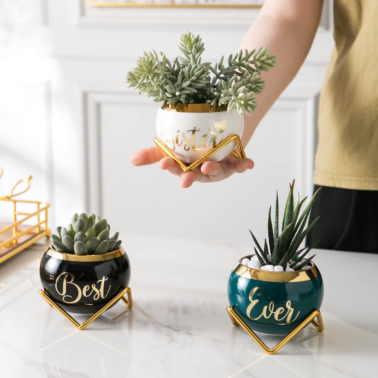 Sister Birthday Gifts for Women from Sisters, Mothers Day Gifts for Sisters from Sisters Adult, Cool Gifts for Adult Sister, Gift for Women Friend, Little Sister Gifts, Succulent Pot Gifts for Ladies