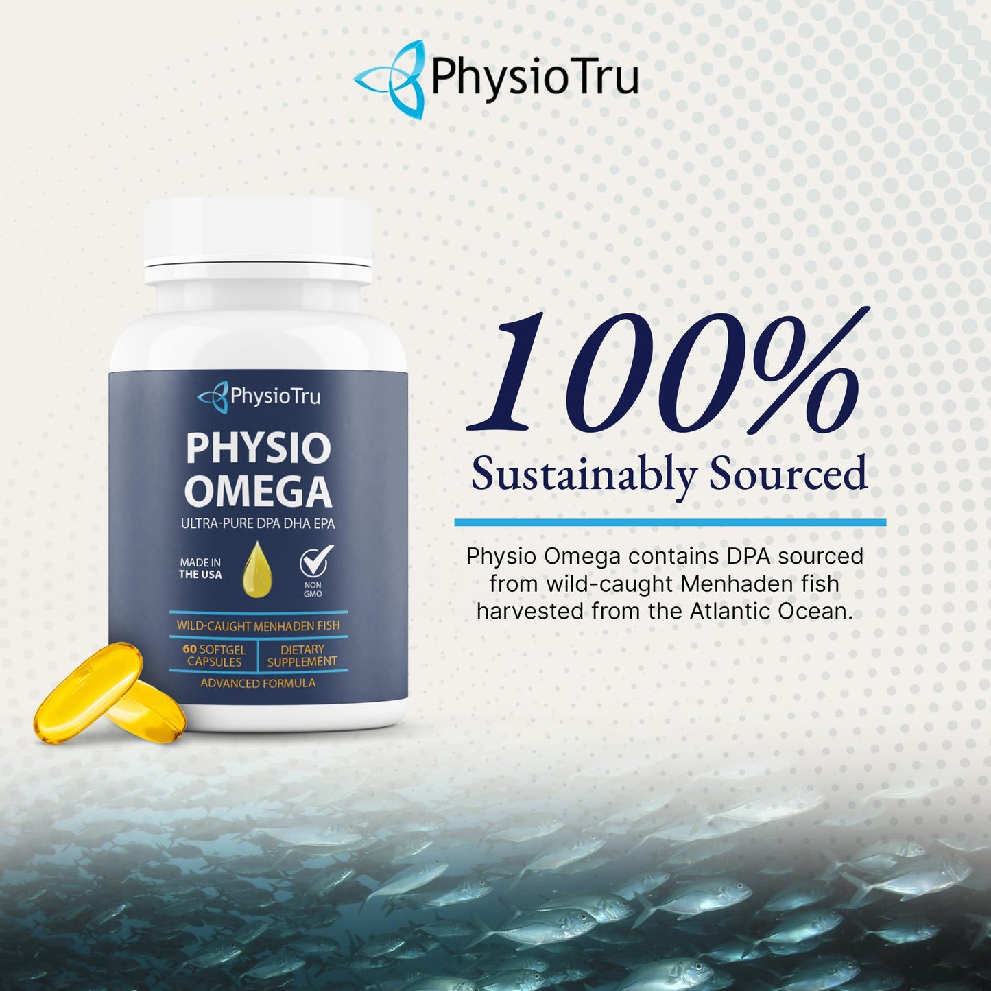 Physio Omega 2400mg Fish Oil with Omega 3 Fatty Acid Supplement - Vascular & Cognitive Supplements for Adults - Non-GMO, Burpless, Light Citrus Flavor, Sustainably Sourced - 4 Packs, 240 Softgels