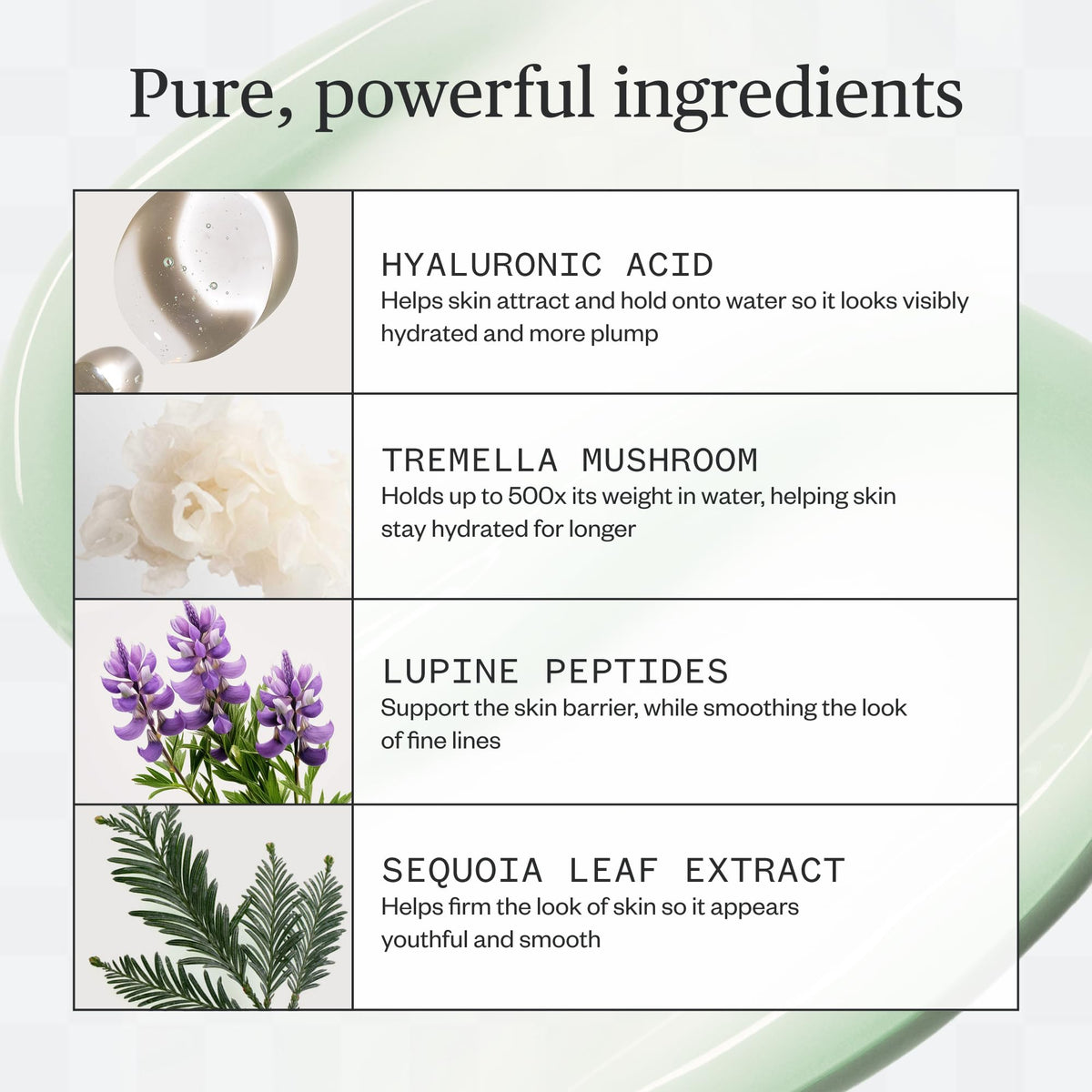 Ursa Major Forest Water Hyaluronic Serum | Deeply Hydrating Natural Face Serum | Boosts Firmness, Plumps Skin & Smooths Appearan