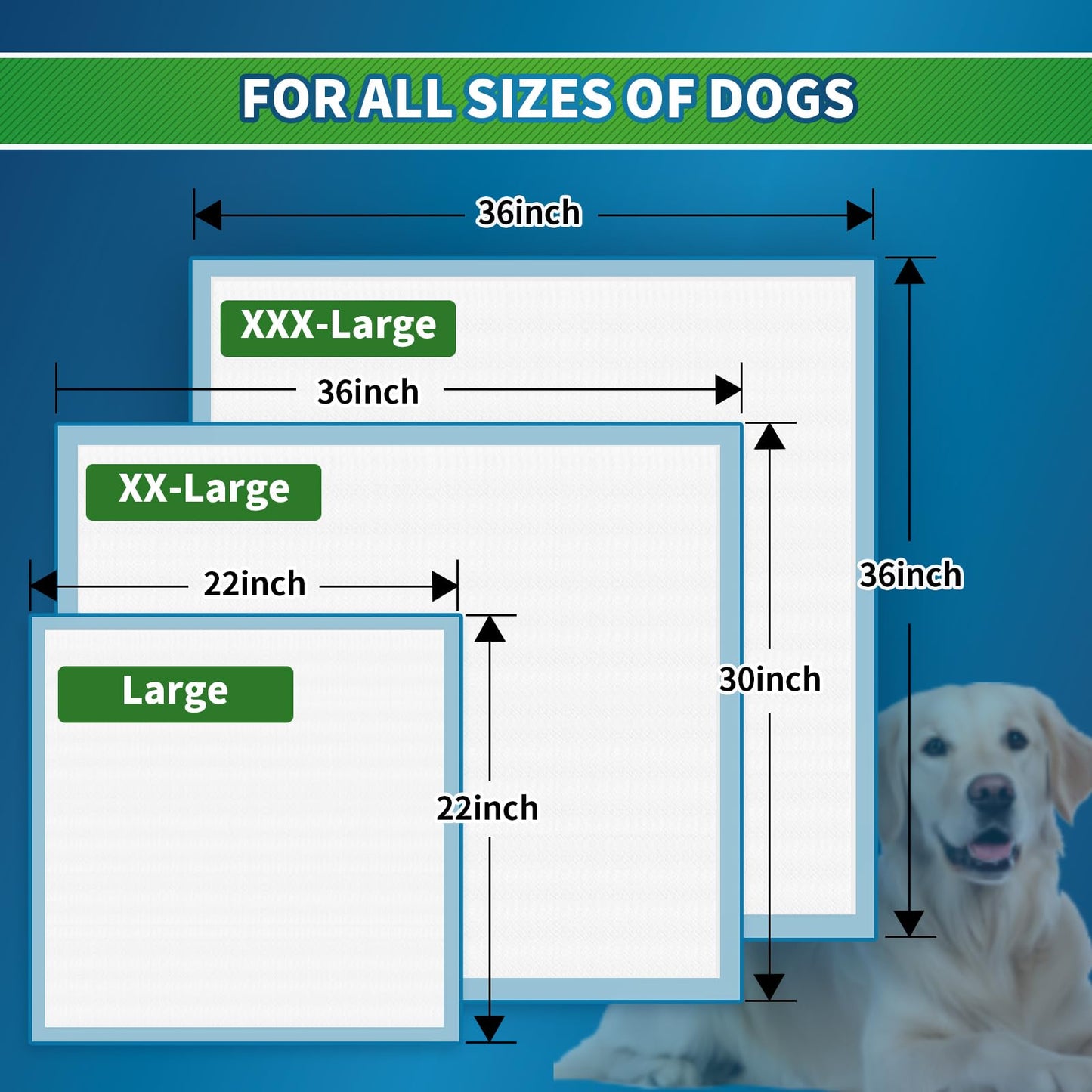 SUNNY DOGGY Pee Pads for Dogs Extra Large 36”x 36”, 40 Count Puppy Pads Pet Training Pads Disposable Upgraded Odor Control, Potty Pads Absorbent and Leak-Proof Dog Housebreaking & Puppy Supplies