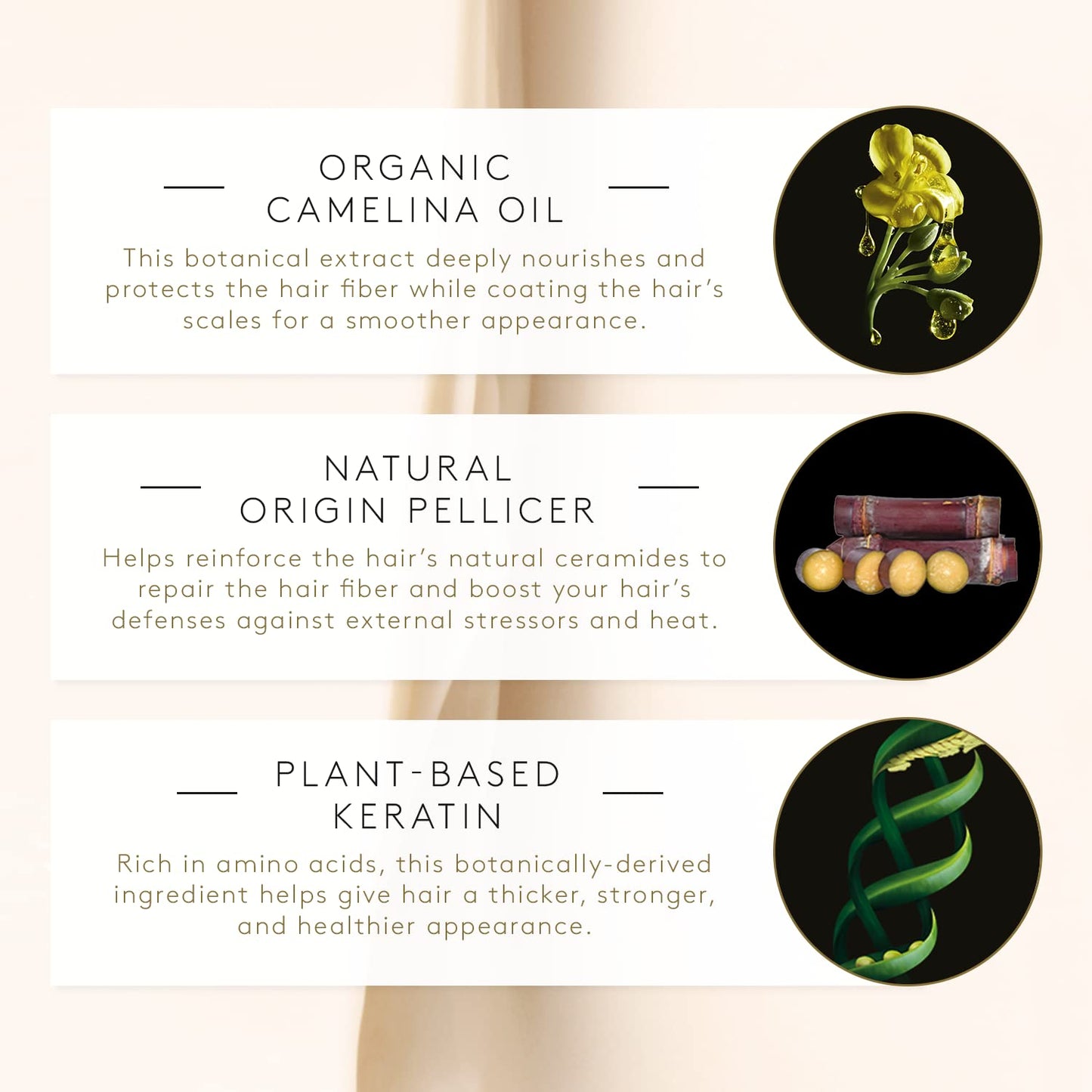 Rene Furterer ABSOLUE KERATINE Repairing Shampoo - For Damaged, Over-Processed Hair - Repair & Restore - Sulfate-Free - 6.7 fl.
